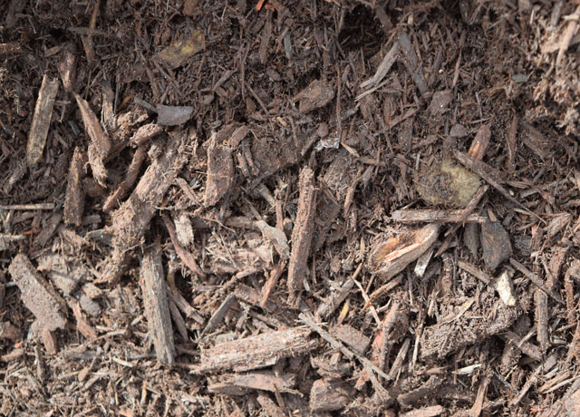 CHOCOLATE MULCH