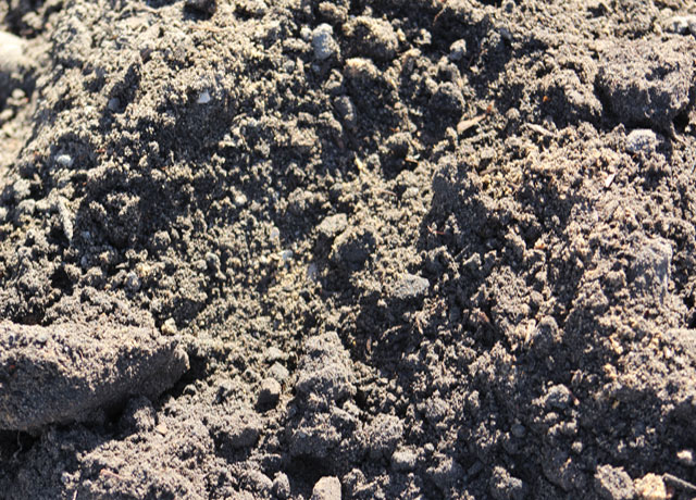 COMPOST COMPOST
