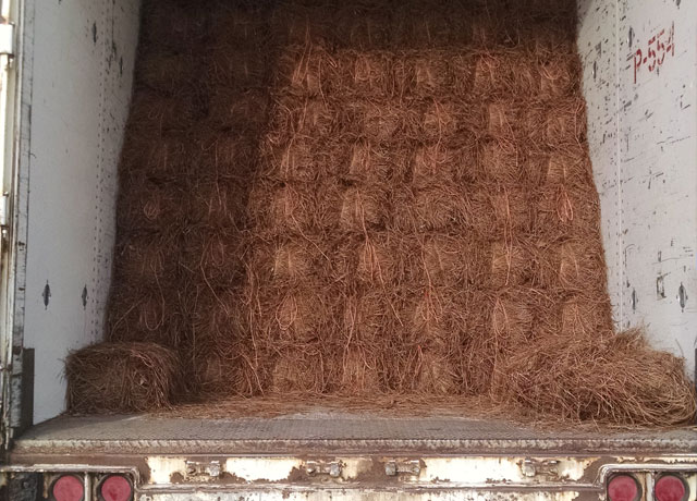 PINE STRAW BALES