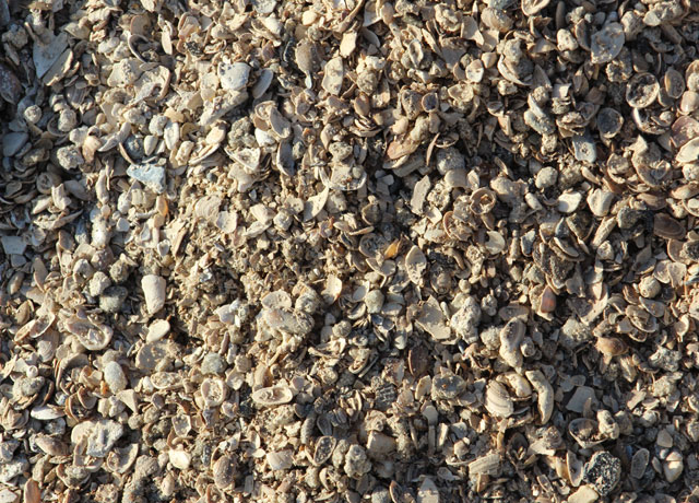 SHELL HASH SHELL HASH